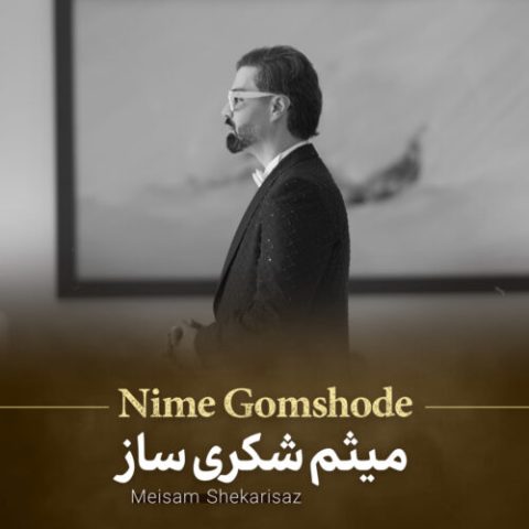 دانلود آهنگ میثم شکری ساز نیمه گمشده